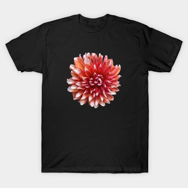 Pretty Red Dahlia Botanical Bee Flower Annual Garden T-Shirt by BurunduXX-Factory